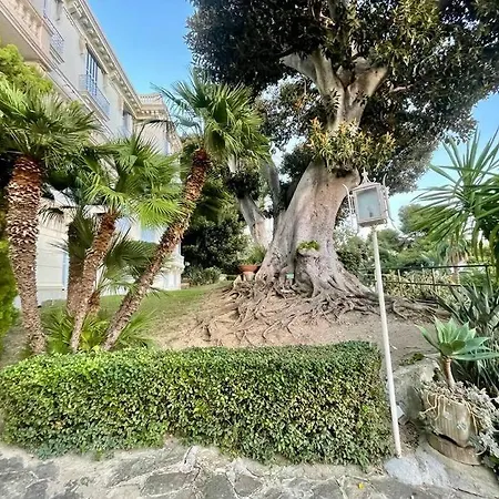 Cavalieri Di Rodi 6 -